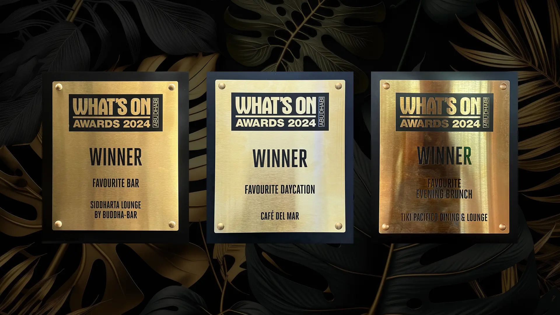 Triumph at Whatson Awards Abu Dhabi 2024: A Hat-Trick Victory!